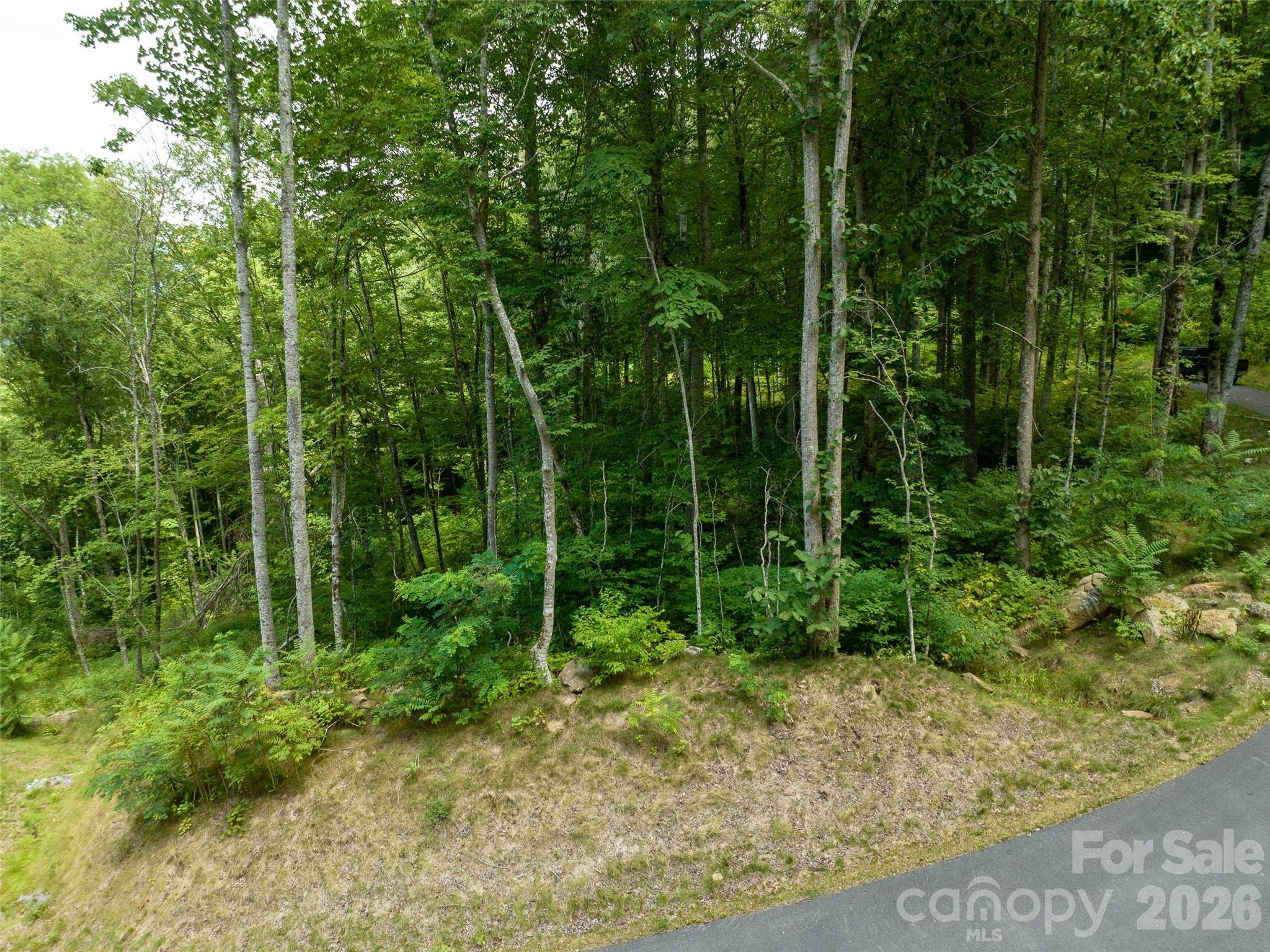 1394 Daydream Ridge Swannanoa, NC 28778 - Photo 23 of 31 a view of a yard with lots of trees