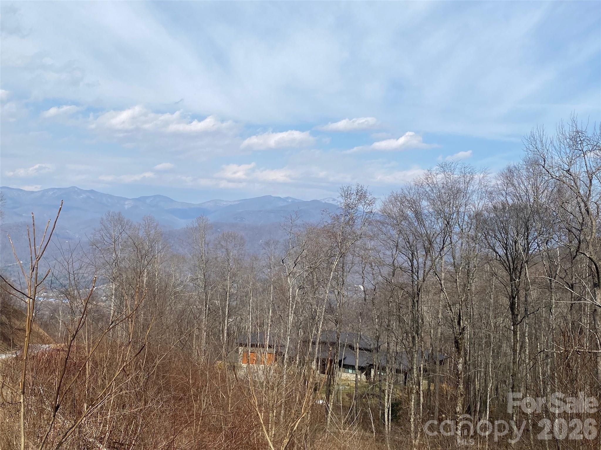 1394 Daydream Ridge Swannanoa, NC 28778 - Photo 28 of 31 a view of a city with lots of bushes