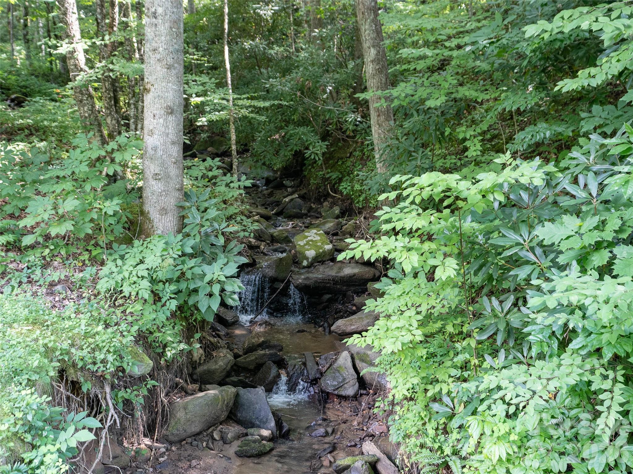 1394 Daydream Ridge Swannanoa, NC 28778 - Photo 8 of 31 a garden with lots of trees