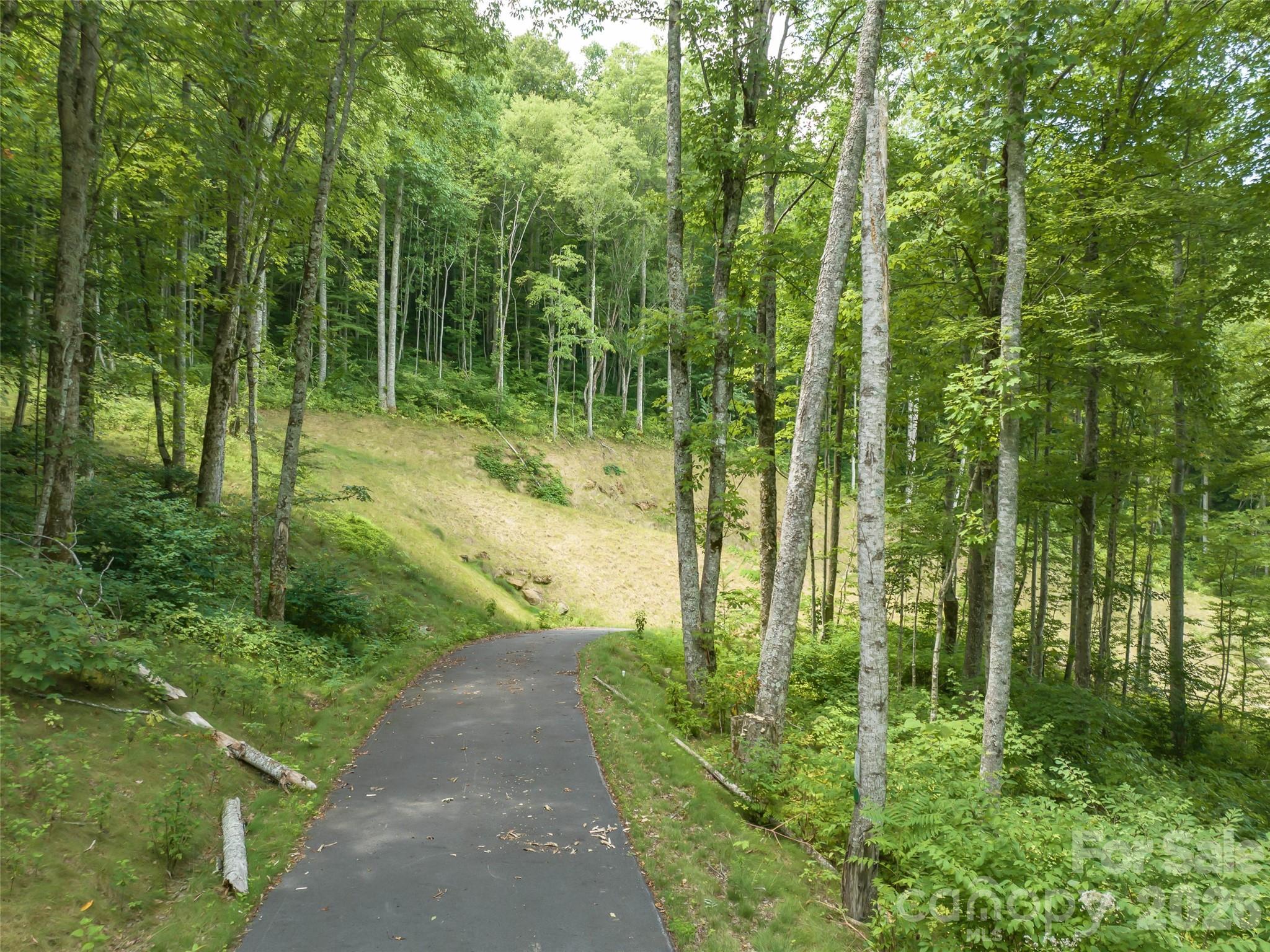 1394 Daydream Ridge Swannanoa, NC 28778 - Photo 10 of 31 a view of outdoor space and green space