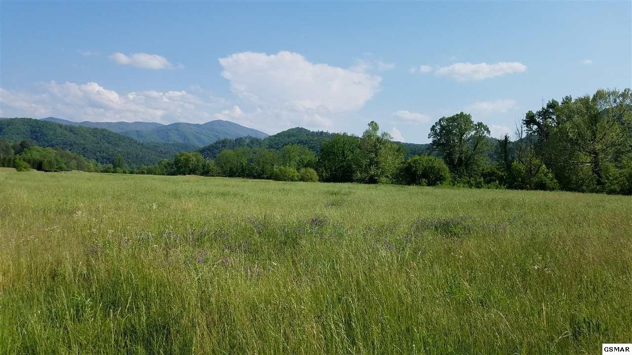 10 River Rpds Way Del Rio, TN 37727 - Photo 7 of 16 Gallery Image 7