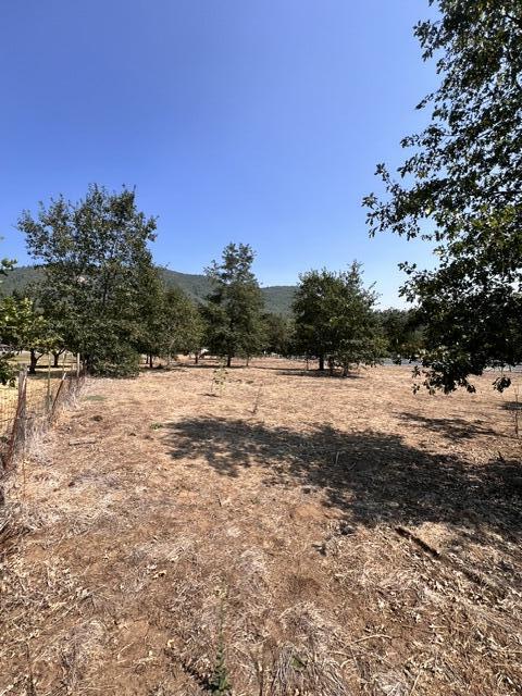 166 Dell Road Grants Pass, OR 97527 - Photo 12 of 16 IMG_4534