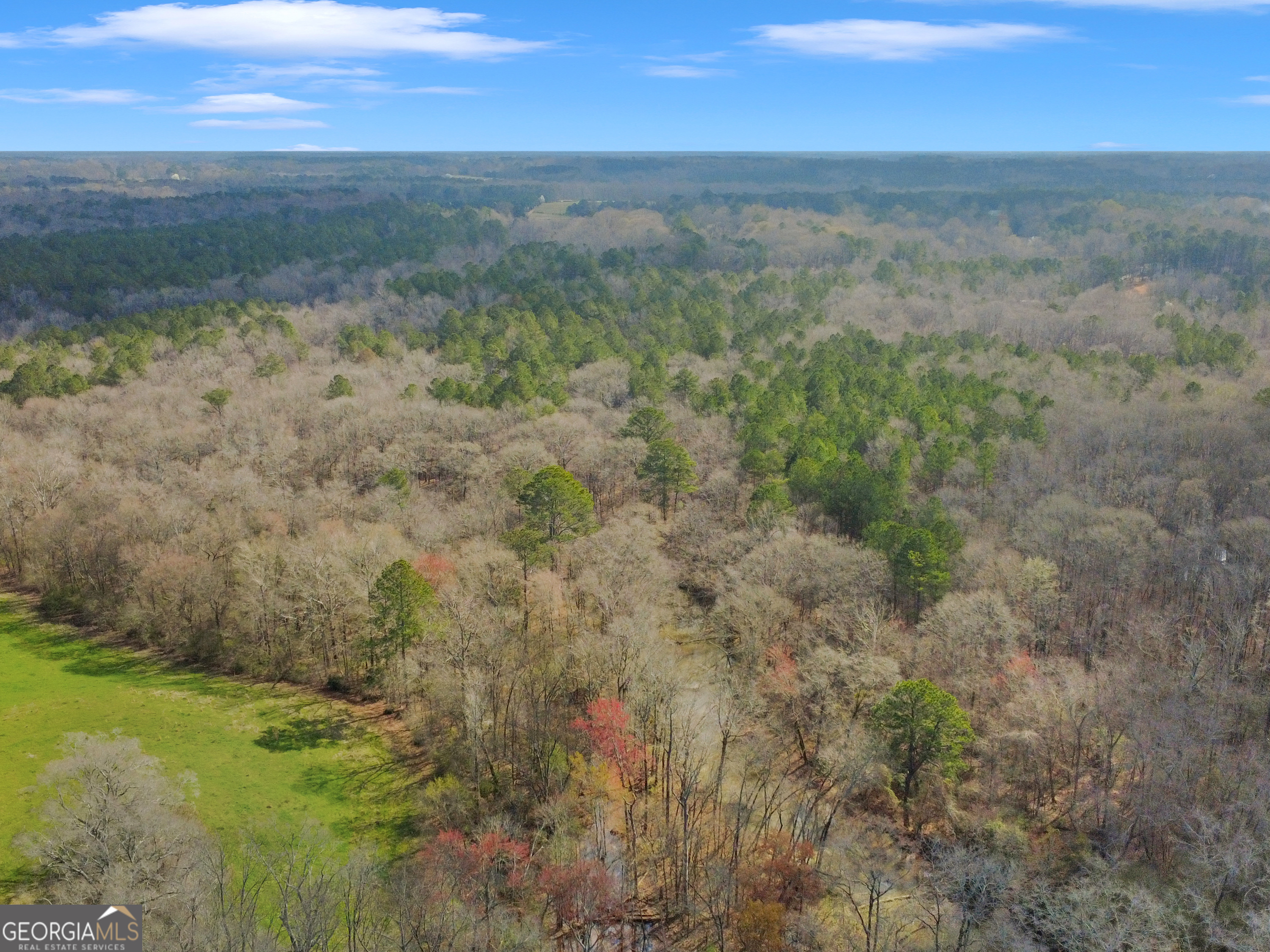 138 Lewis Street Jackson, GA 30233 - Photo 12 of 23