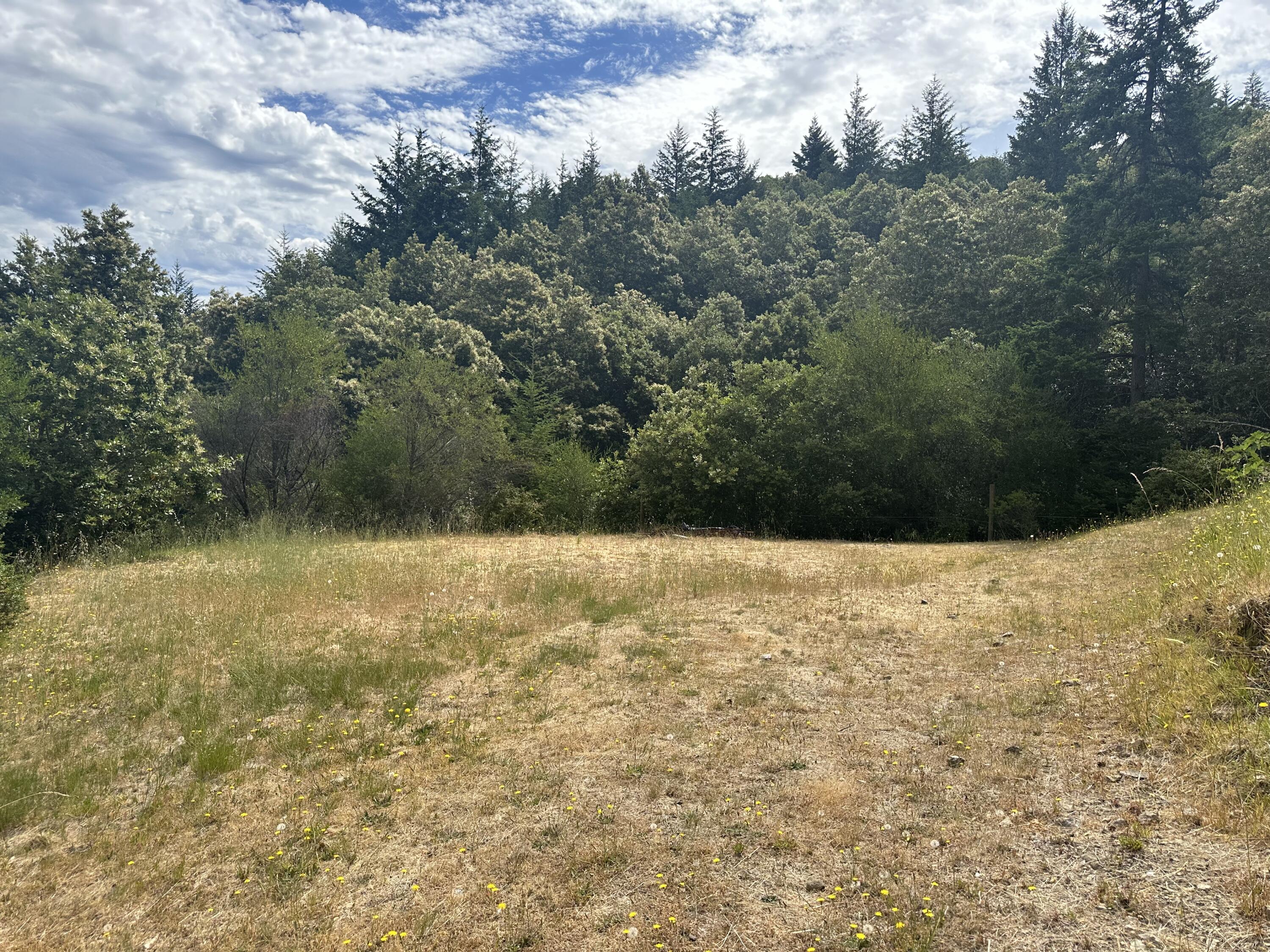 440 Cooskie Ridge Road Petrolia, CA 95558 - Photo 105 of 116