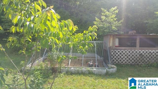 1015 Hamilton Road Pell City, AL 35128 - Photo 37 of 37