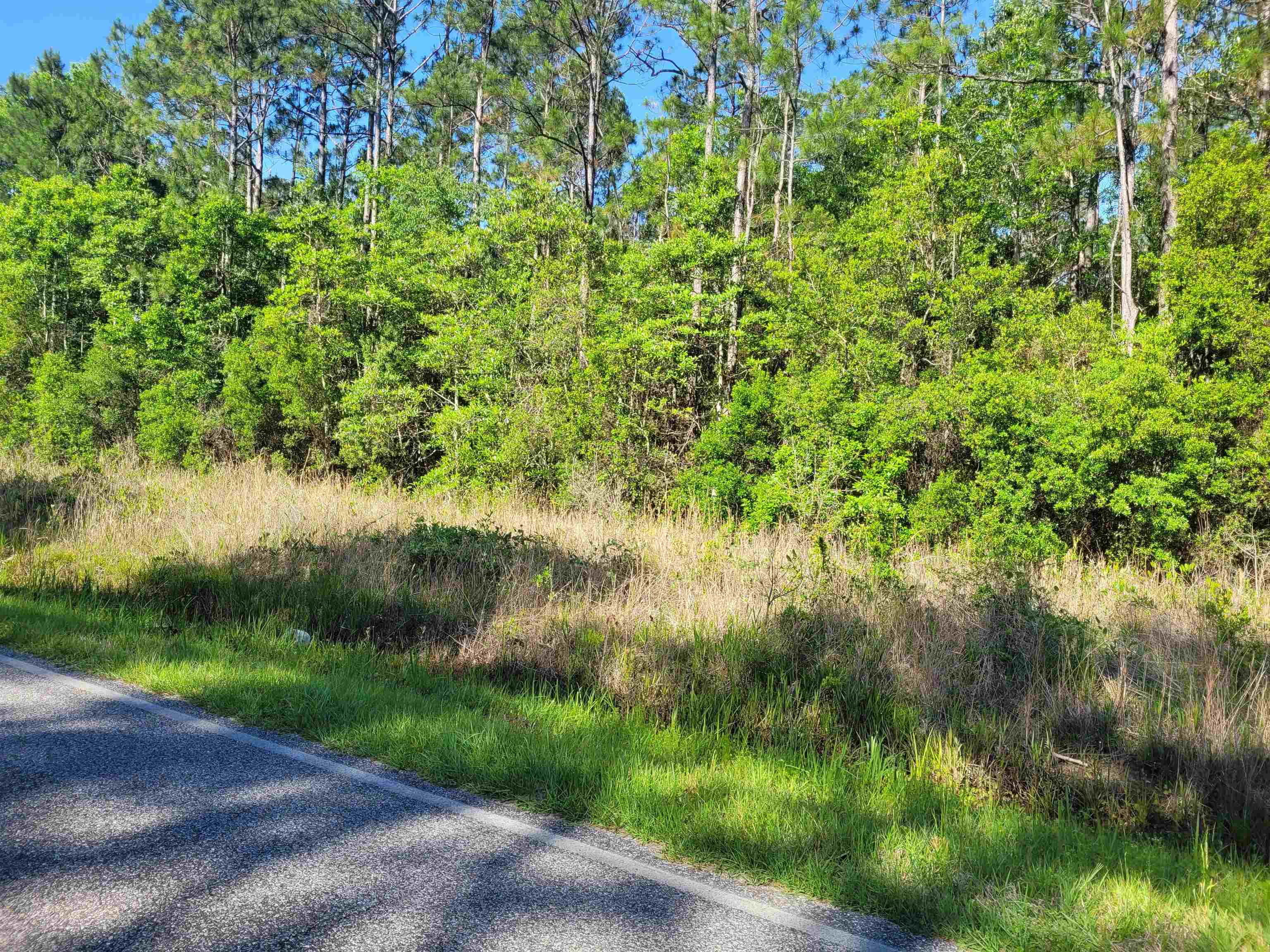 11675 Mary Ann Bch Road Fairhope, AL 36532 - Photo 2 of 8