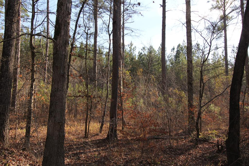 0 Smith Mill Road Thomson, GA 30824 - Photo 3 of 5