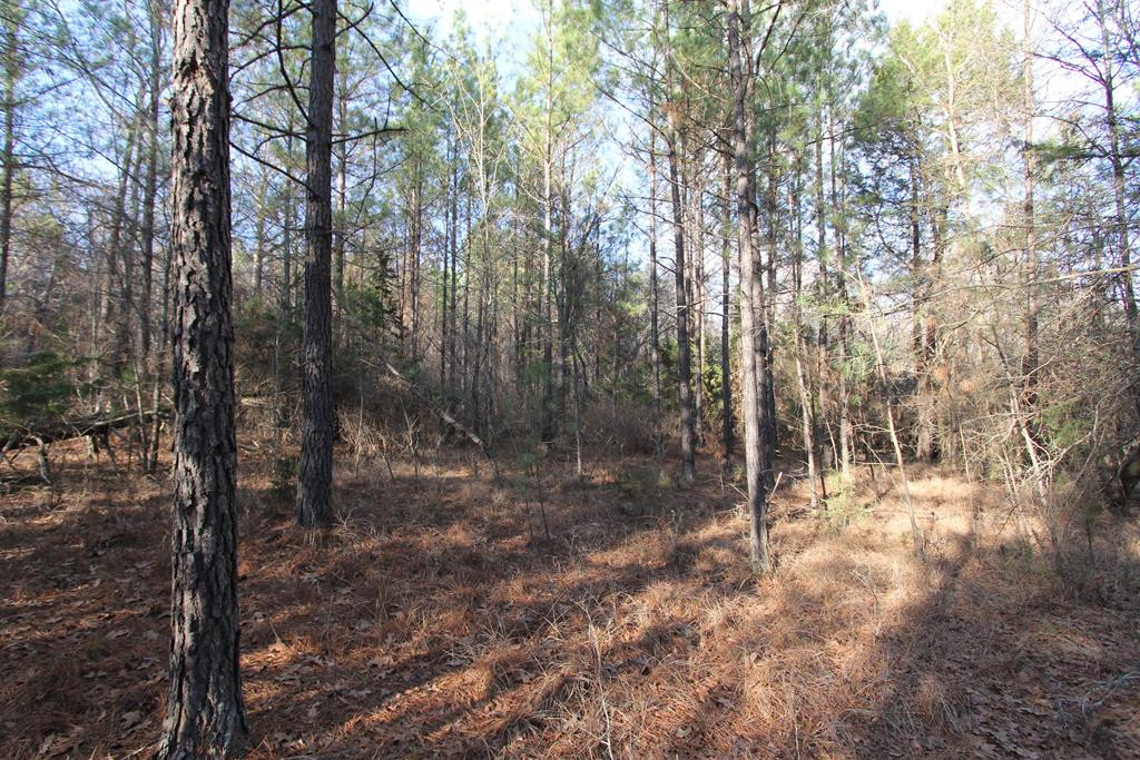 0 Smith Mill Road Thomson, GA 30824 - Photo 5 of 5