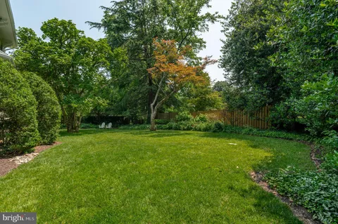 a view of a grassy field with trees in the background