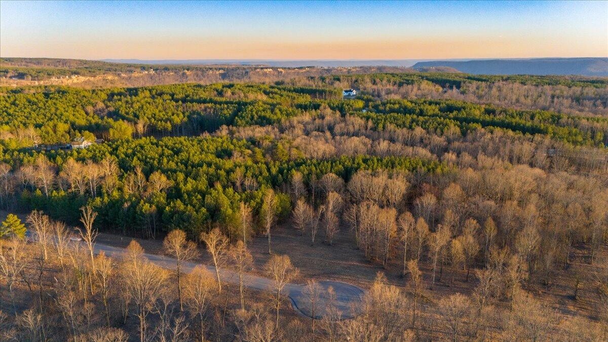 0 Volunteer Street Jasper, TN 37347 - Photo 4 of 17