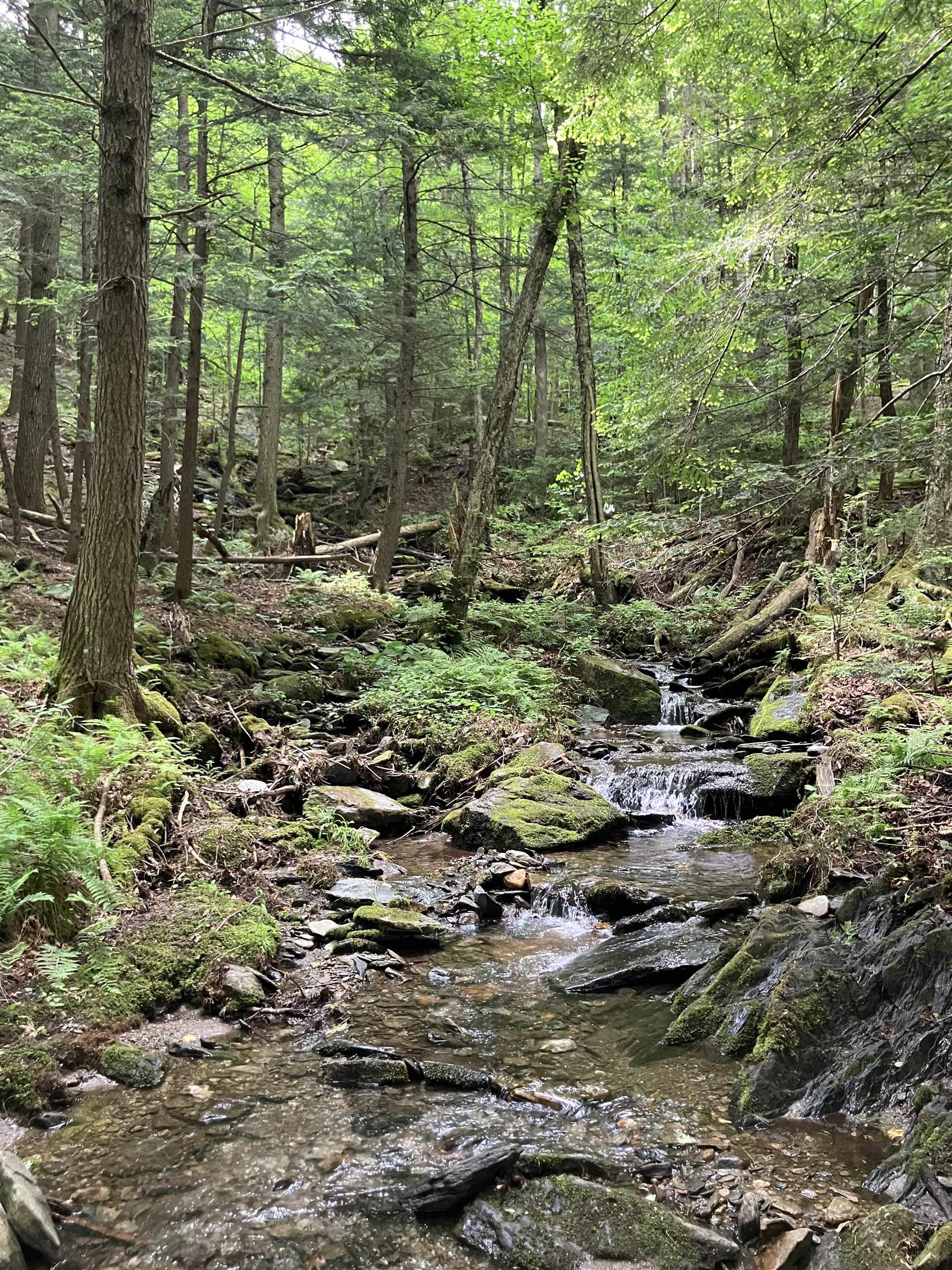 1075 Butternut Hill Road, Unit H2 Waitsfield, VT 05673 - Photo 27 of 27