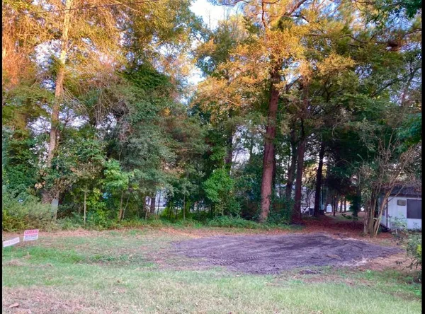 a view of outdoor space with trees all around