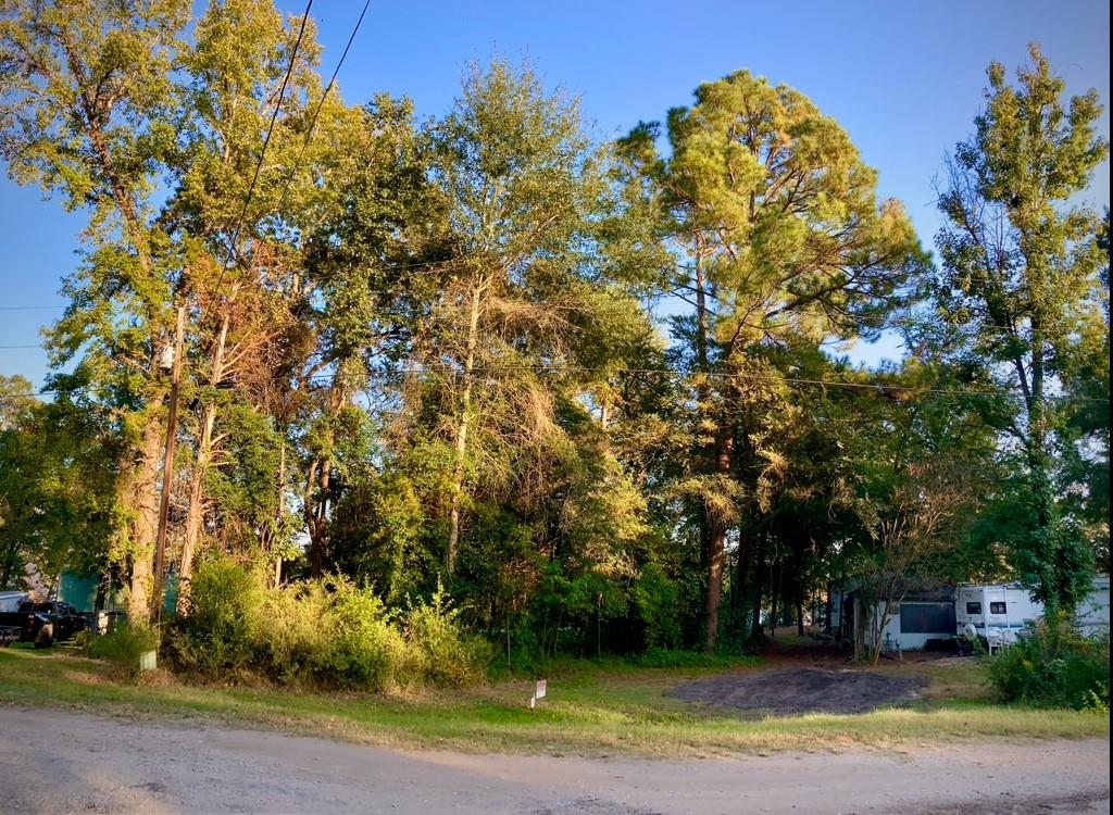 262 Walnut Trail Murchison, TX 75778 - Photo 3 of 21 a view of a yard