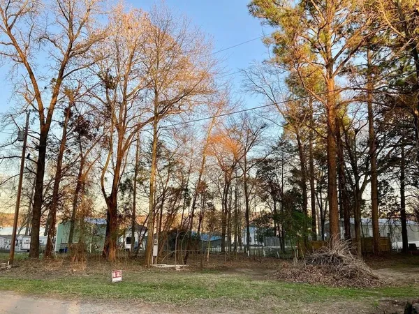 a view of outdoor space with trees
