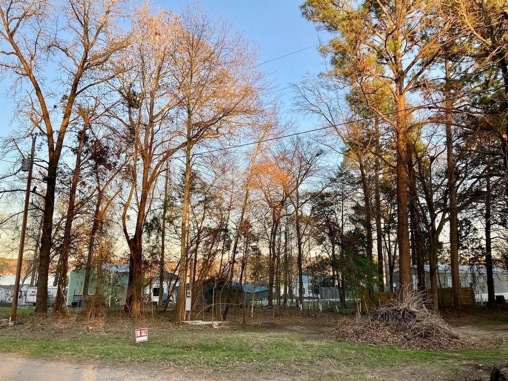 262 Walnut Trail Murchison, TX 75778 - Photo 5 of 21 a view of outdoor space with trees