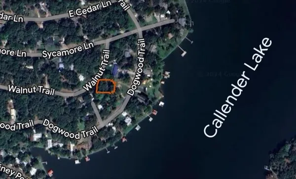 a view of a yard with a tree