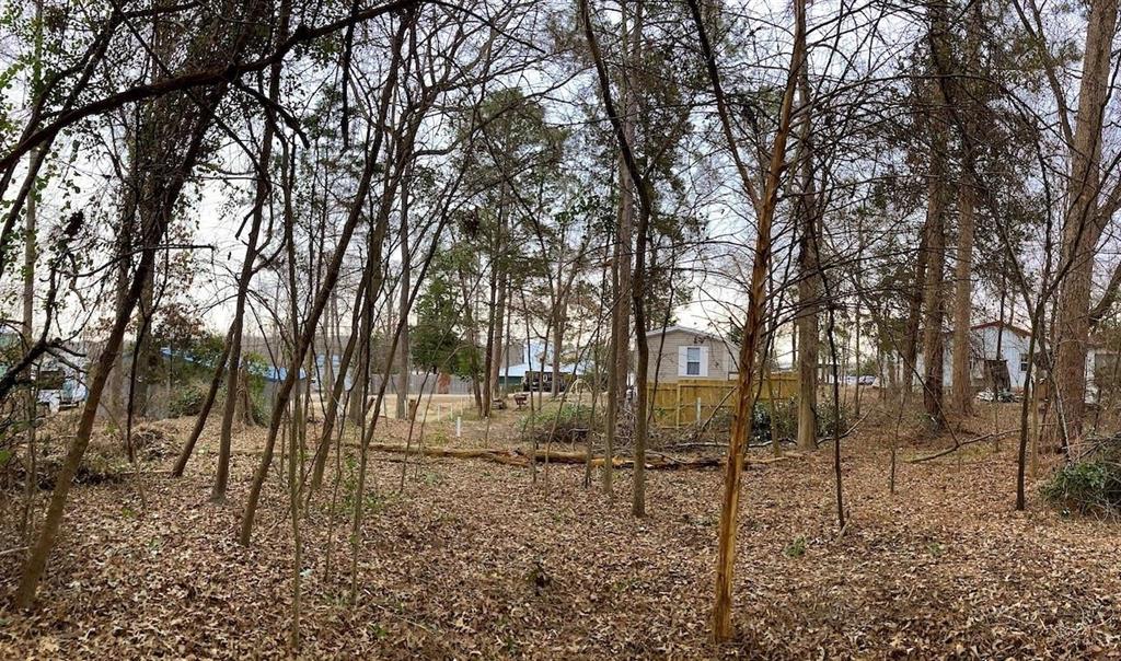 262 Walnut Trail Murchison, TX 75778 - Photo 9 of 21 a view of a yard with a tree