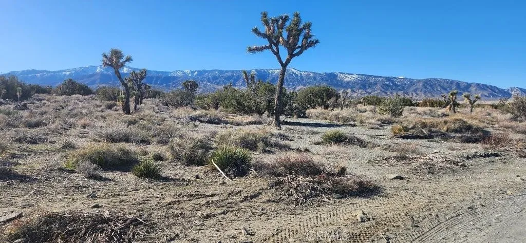 0 Smoke Tree Road Pinon Hills, CA 92372 - Photo 1 of 1 a view of a dry yard with trees