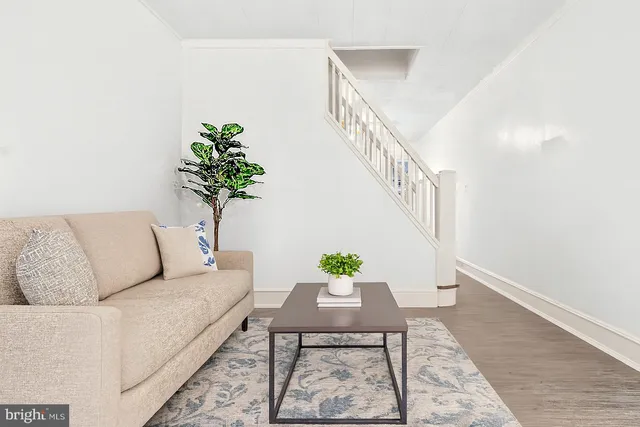 a living room with furniture and a potted plant