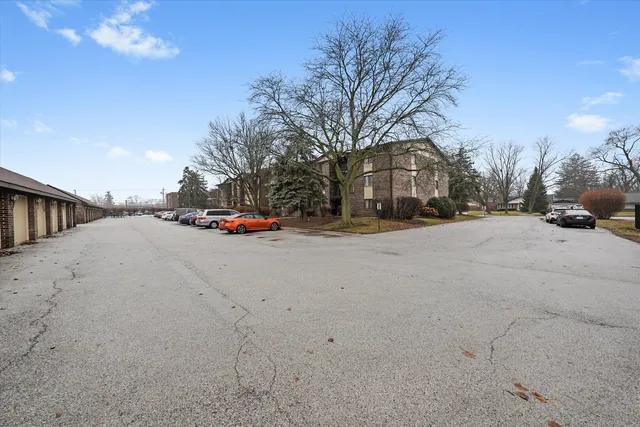 a view of road and trees