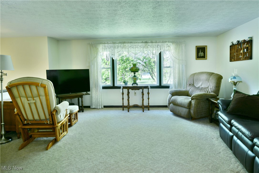 379 Housel Craft Road Bristolville, OH 44402 - Photo 18 of 50 Sitting room with carpet and a textured ceiling