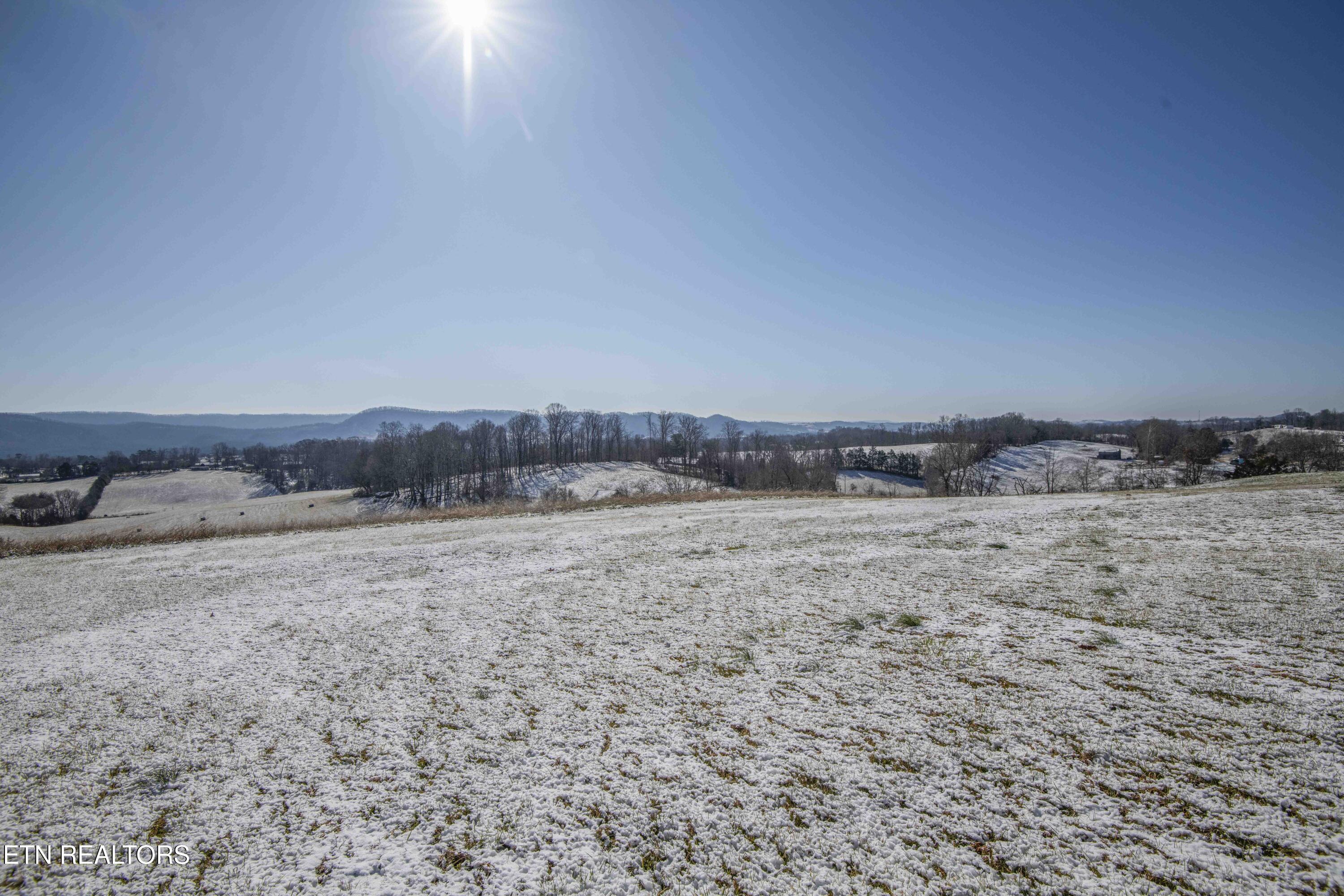 758 Grassy Hollow Road Tazewell, TN 37879 - Photo 48 of 51 yard 4_1