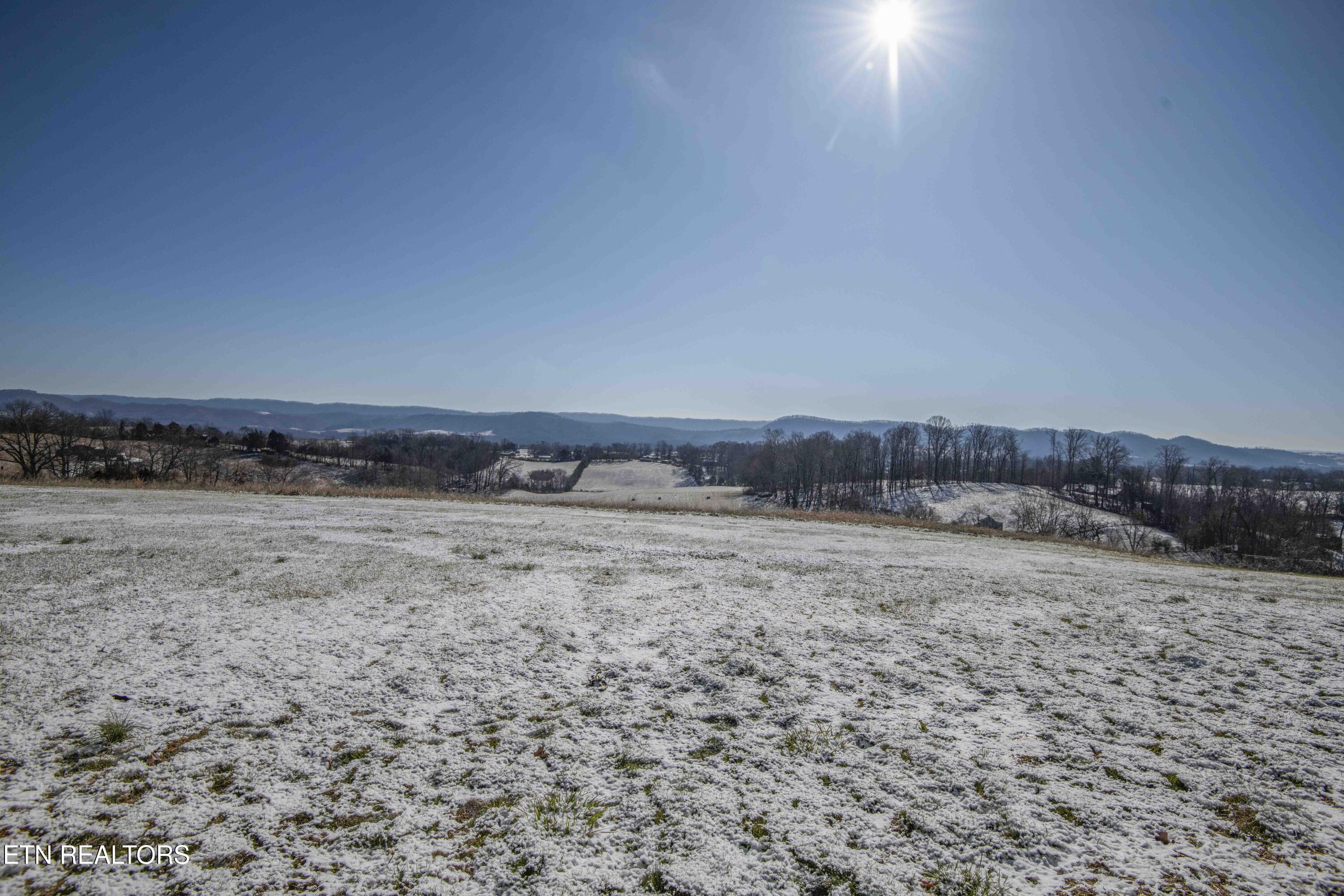 758 Grassy Hollow Road Tazewell, TN 37879 - Photo 50 of 51 yard 6_1