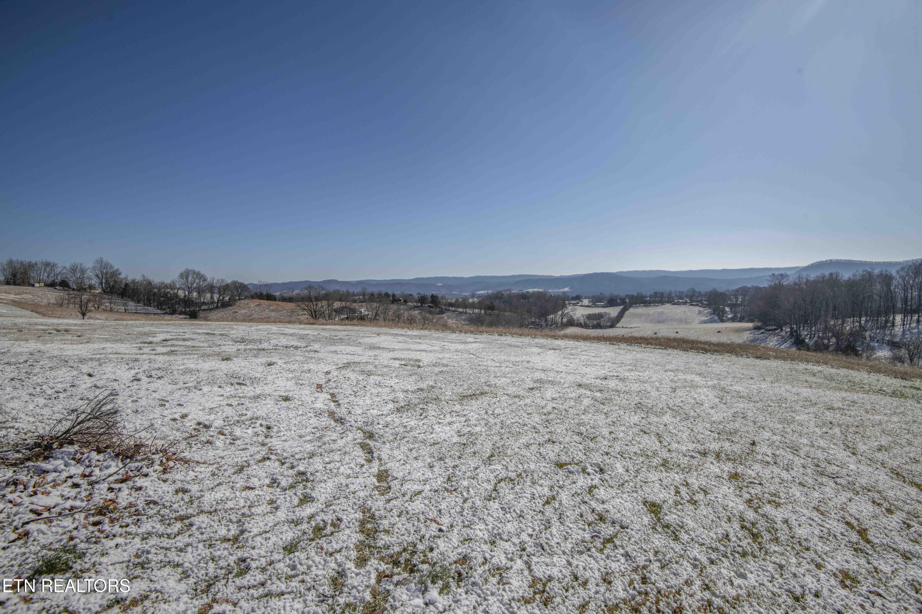 758 Grassy Hollow Road Tazewell, TN 37879 - Photo 51 of 51 yard_1