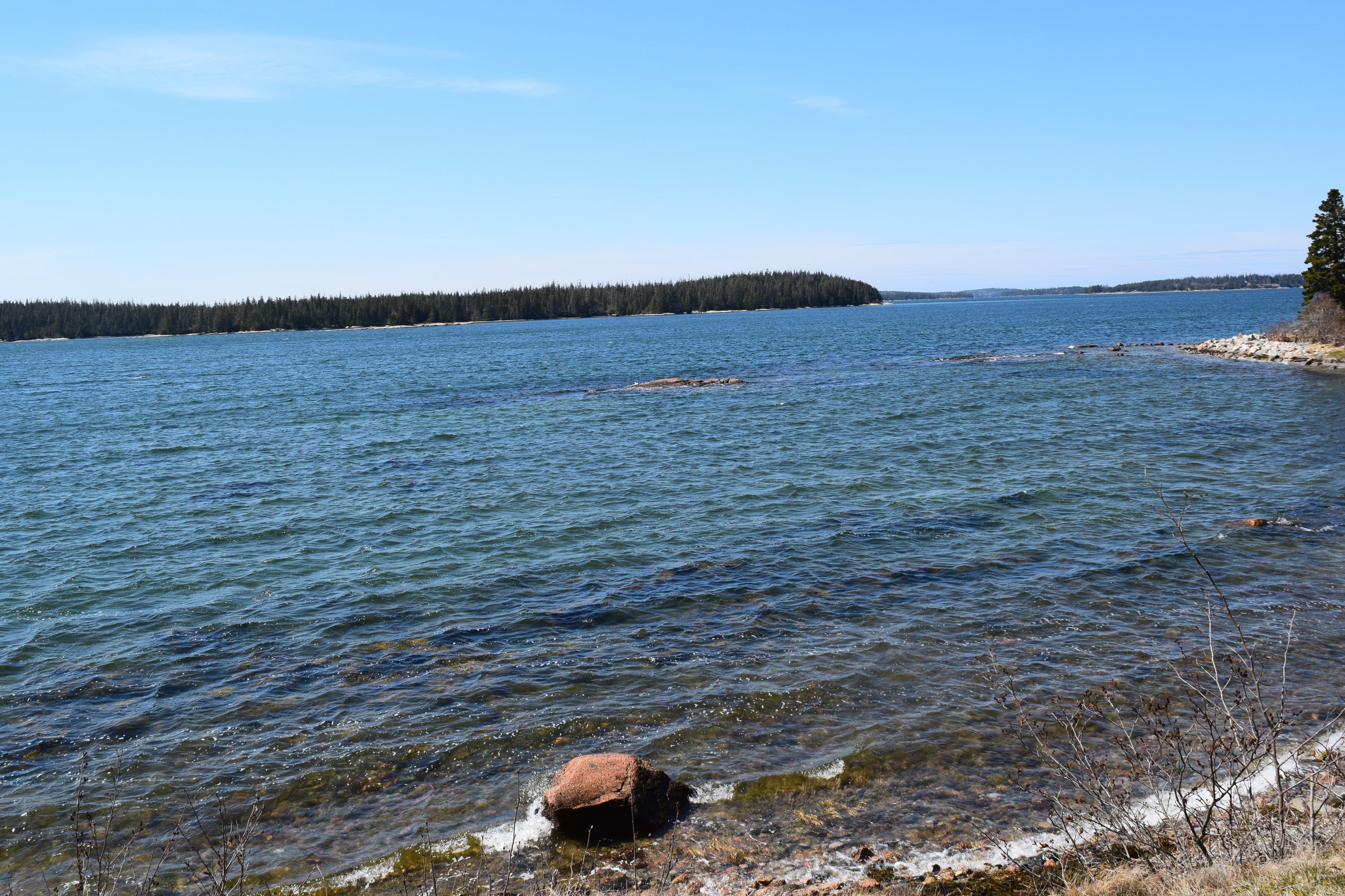 259 Back Road Brooklin, ME 04616 - Photo 5 of 16 DSC_0096