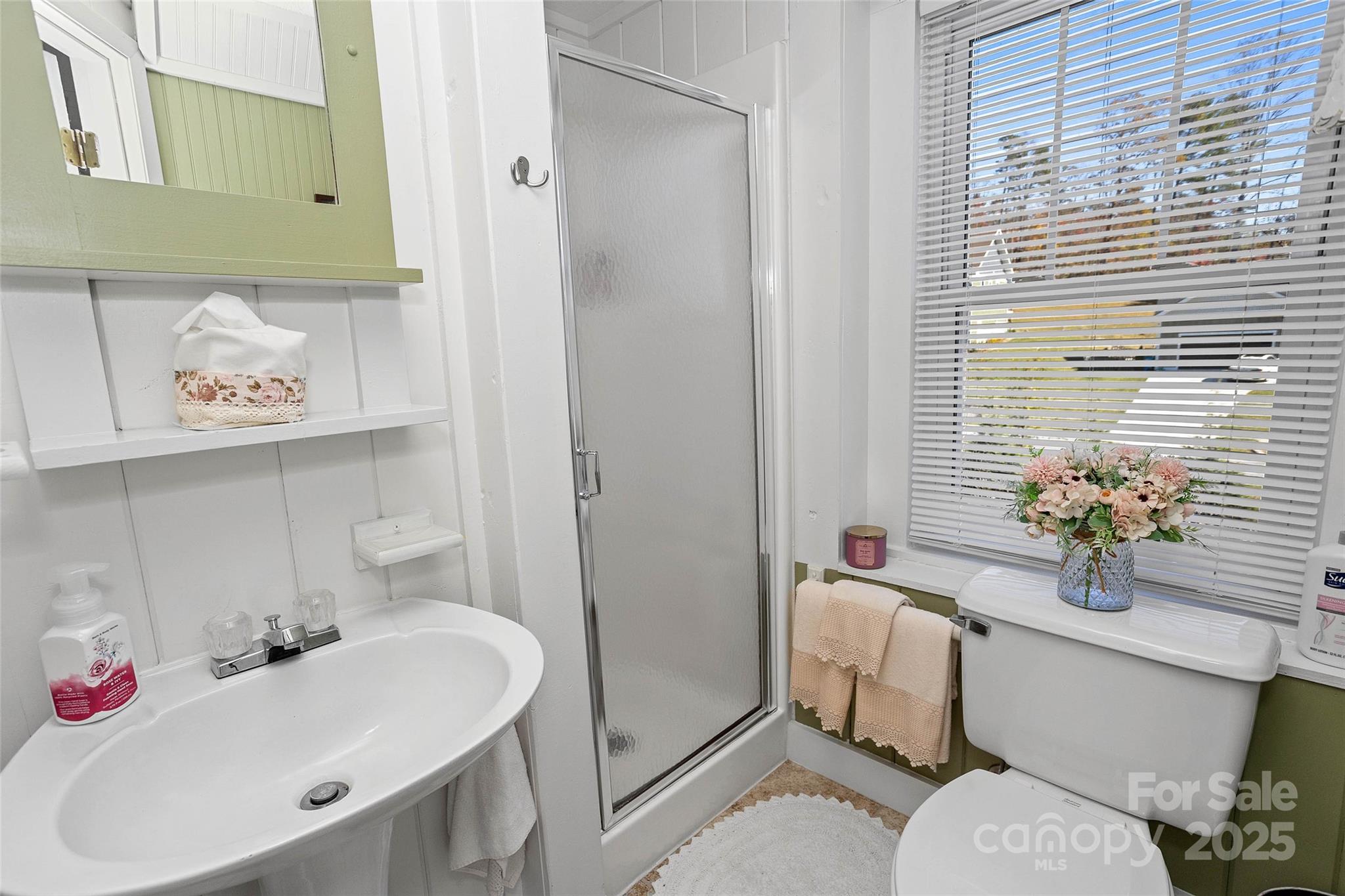 3471 Chimney Rock Road Hendersonville, NC 28792 - Photo 27 of 48 a bathroom with a sink toilet and tub