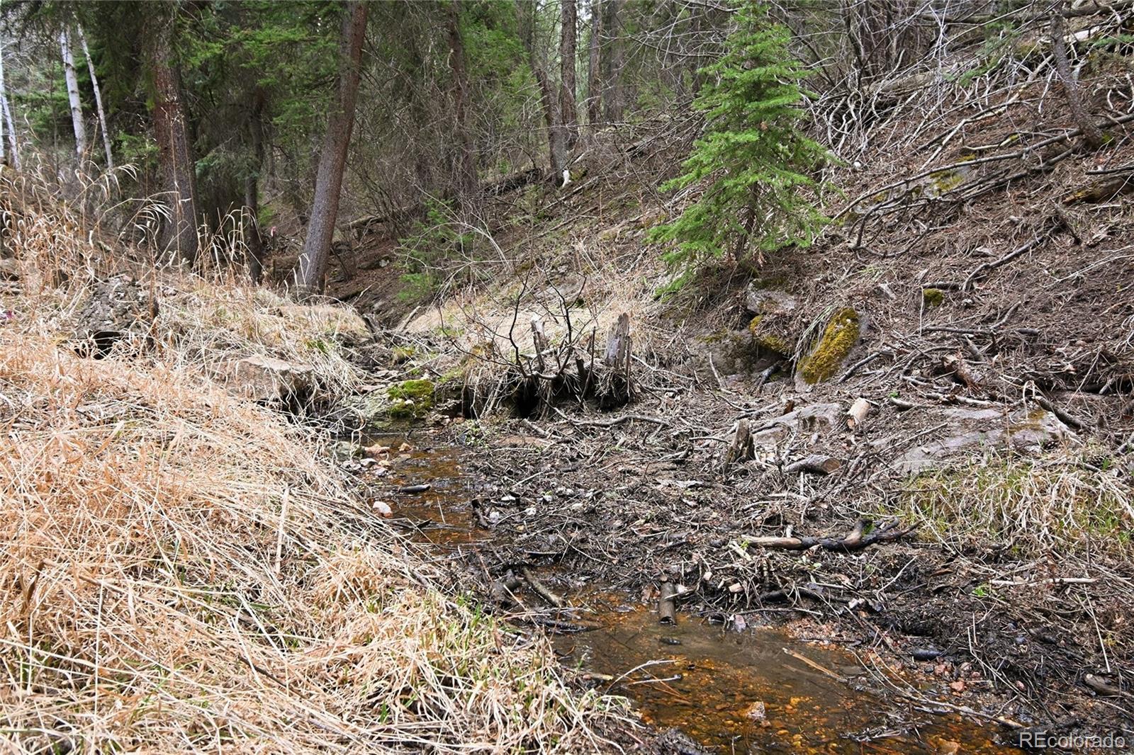 26905 Mountain Park Road Evergreen, CO 80439 - Photo 23 of 25