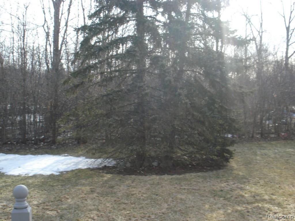338 North Willard Road Canton, MI 48187 - Photo 10 of 19 Backyard.jpg