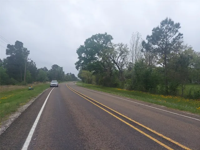 a view of a yard and a street