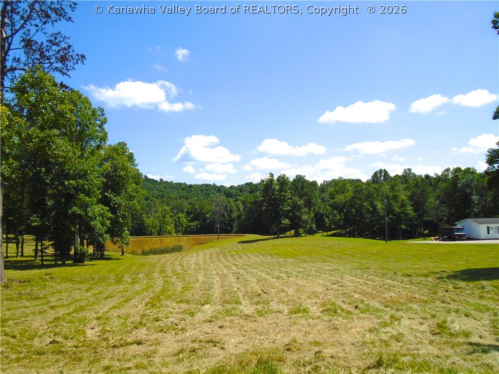 4032 Millstone Road Apple Grove, WV 25502 - Photo 10 of 11 PROPERTY GOES ALL THE WAY BACK TO TOP OF TREE LINE