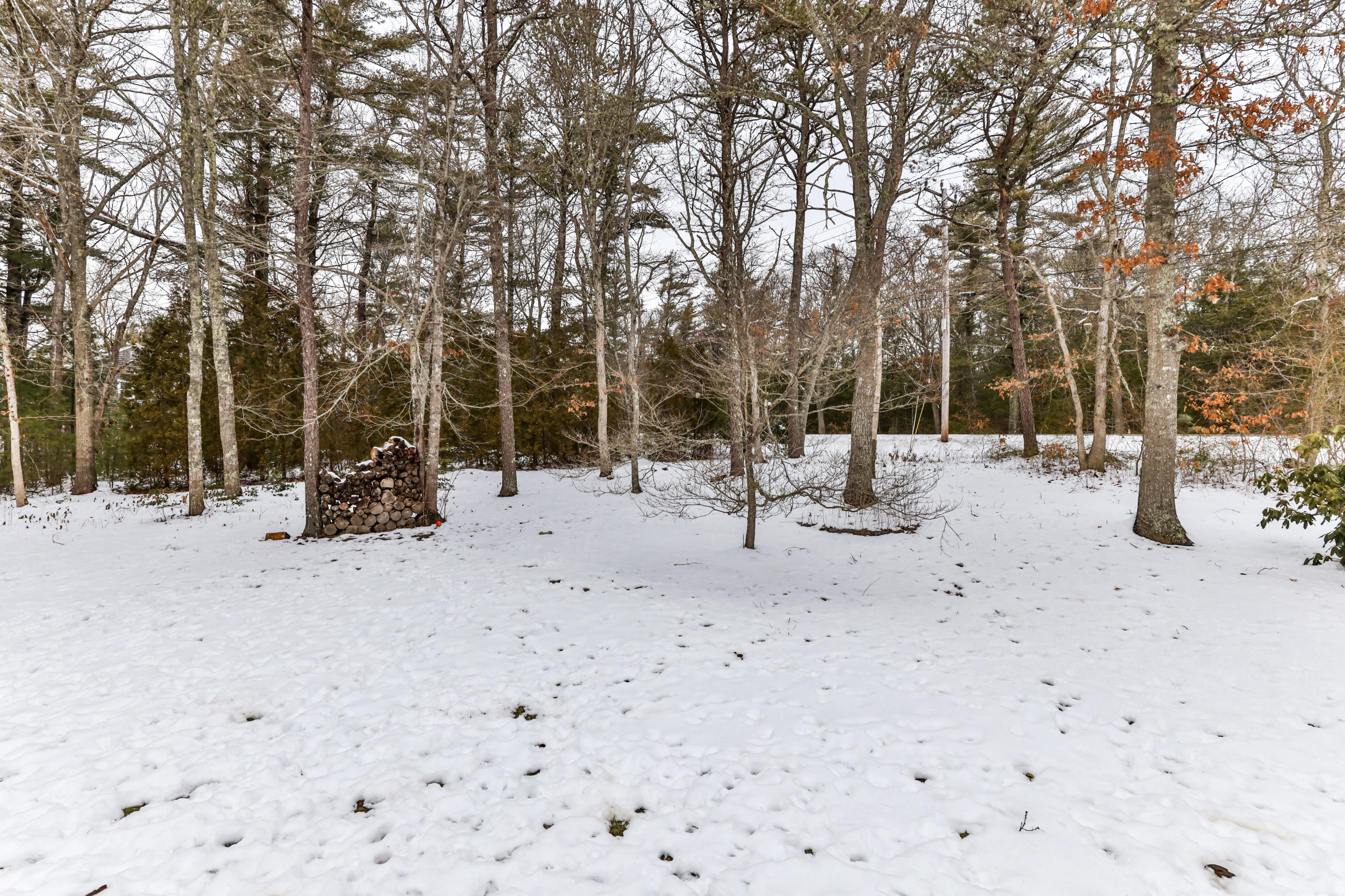 105 John Ewer Road Sandwich, MA 02563 - Photo 41 of 47 105JohLR-42