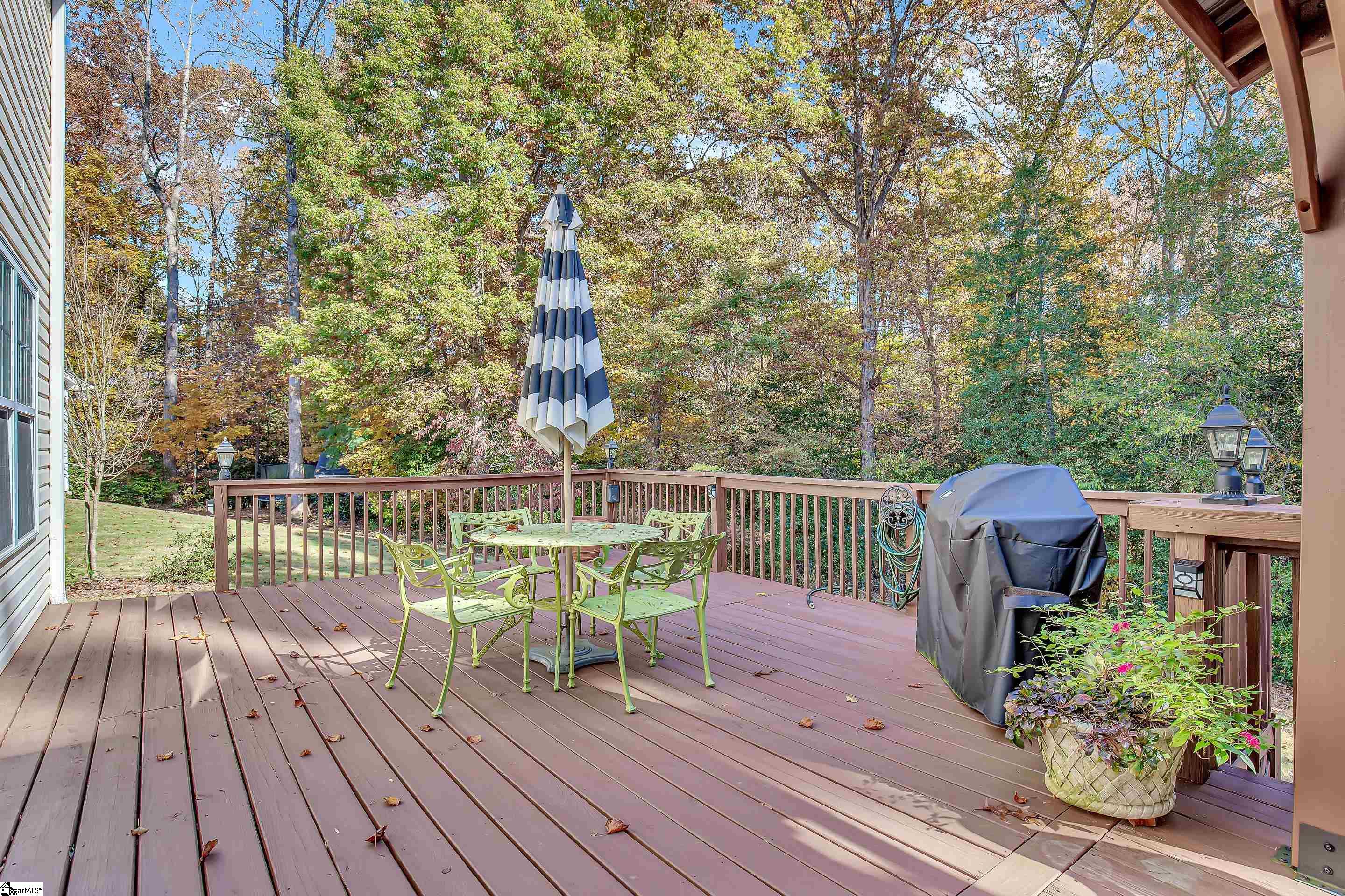 424 Woolridge Way Greer, SC 29650 - Photo 29 of 36 Gallery Image 29