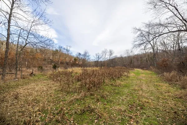 $1,485,000 | Tbd Northeast Tbd Ne 82nd Highway, Osceola, MO 64776