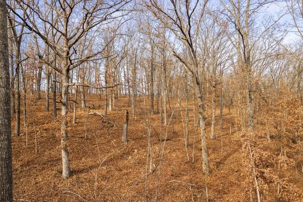 $1,485,000 | Tbd Northeast Tbd Ne 82nd Highway, Osceola, MO 64776