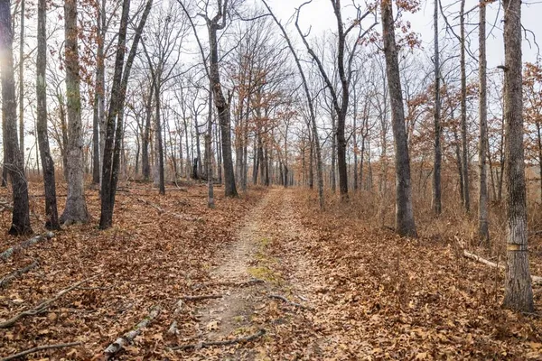 $1,485,000 | Tbd Northeast Tbd Ne 82nd Highway, Osceola, MO 64776