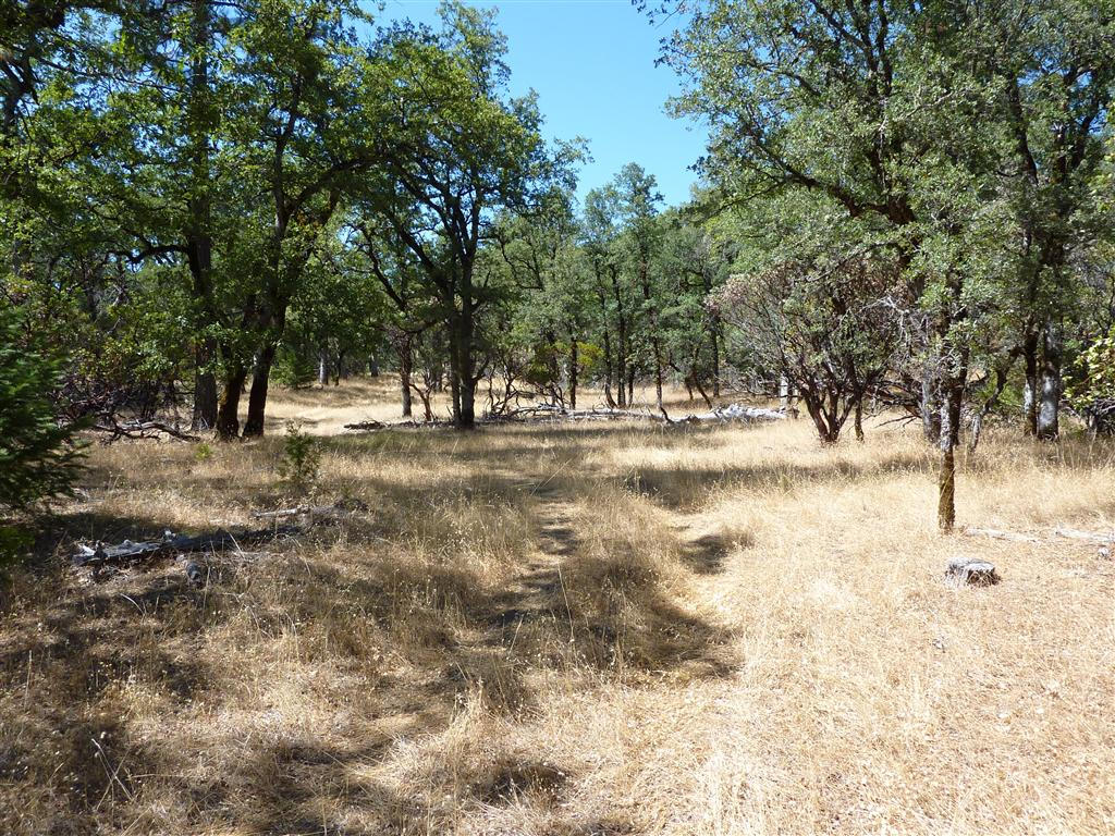 40-acres Off Fern Road Whitmore, CA 96096 - Photo 14 of 23 a view of ocean view with trees