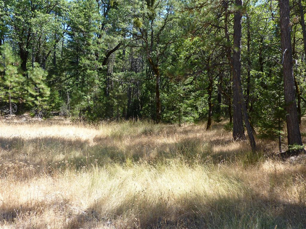 40-acres Off Fern Road Whitmore, CA 96096 - Photo 23 of 23 a view of a lake with top of house