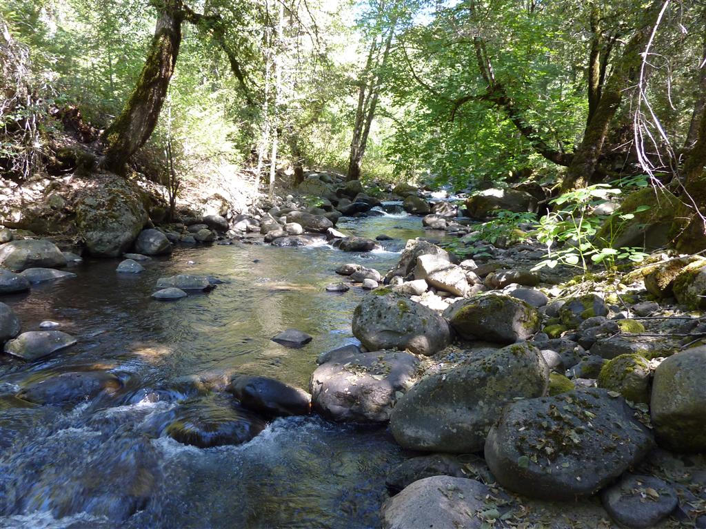 40-acres Off Fern Road Whitmore, CA 96096 - Photo 9 of 23 a picture of outdoor space