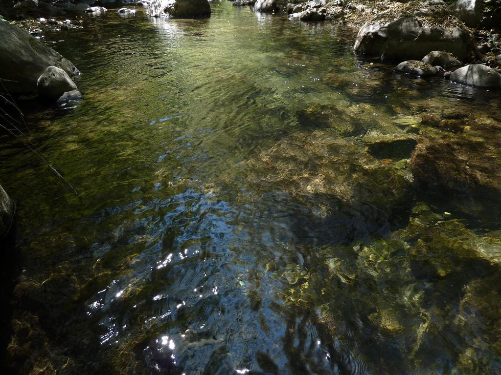 40-acres Off Fern Road Whitmore, CA 96096 - Photo 10 of 23
