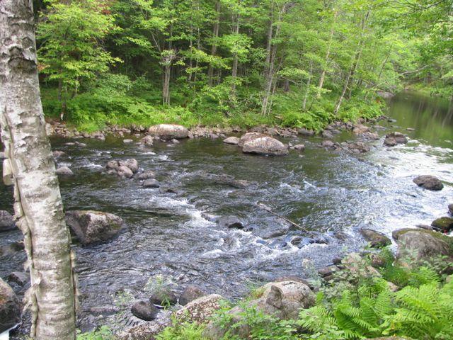 3 Weld Street Carthage, ME 04224 - Photo 23 of 24 IMG_3126