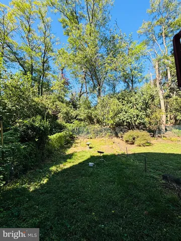 a view of yard with green space