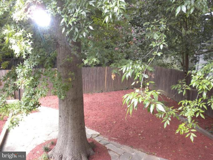 1648 Foxhall Road Northwest Washington, DC 20007 - Photo 16 of 19 Back yard