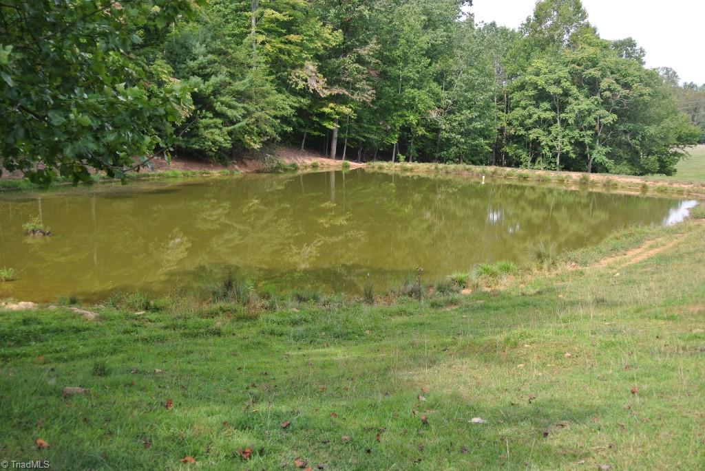 0 Precinct Road, Unit 52 Pilot Mountain, NC 27041 - Photo 1 of 26 Gallery Image 1