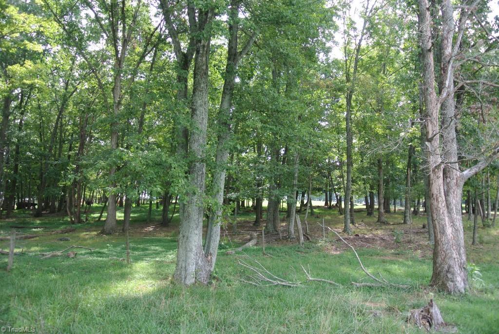 0 Precinct Road, Unit 52 Pilot Mountain, NC 27041 - Photo 6 of 26 Gallery Image 6