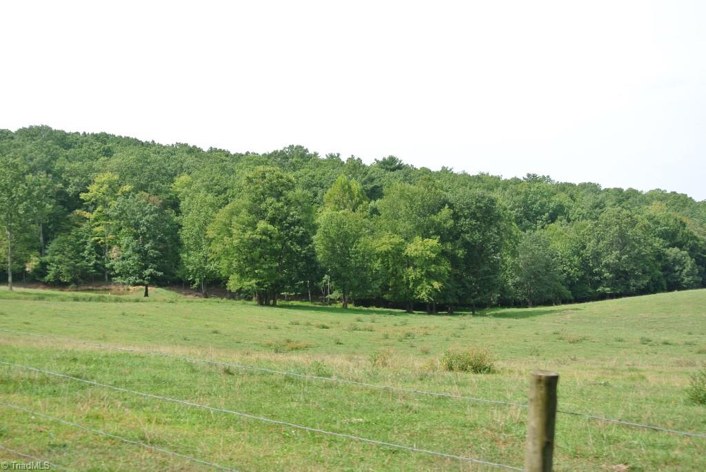 0 Precinct Road, Unit 52 Pilot Mountain, NC 27041 - Photo 9 of 26 Gallery Image 9