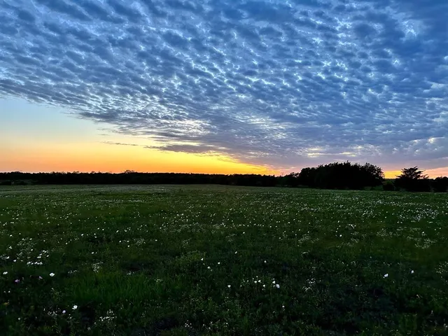 a view of an outdoor space and yard